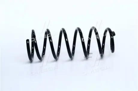 Фото Пружина підвіски, задня 553301C011 ONNURI (GSCH016) зображення 1