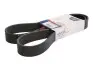 Поліклиновий ремінь OPTIBELT (10PK1556) зображення 1