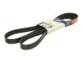 Поліклиновий ремінь OPTIBELT (8PK2080) зображення 1