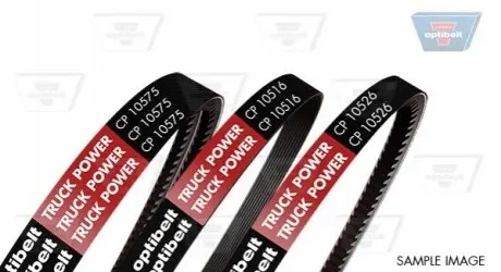 Поліклиновий ремінь OPTIBELT CP10519