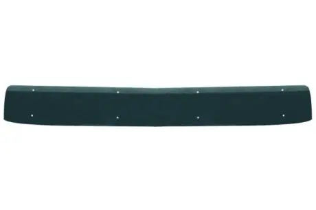 Сонцезахисний козирок MAN TGX I 06.06-09.21 MAN TGX PACOL MANUP002