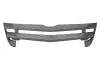 Фото Решітка радіатора Нижн MERCEDES ACTROS MP4 / MP5 07.11 PACOL (MERFP017) зображення 1