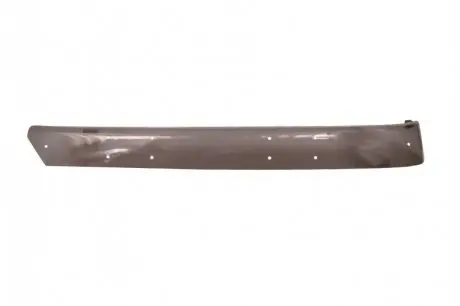 Сонцезахисний козирок MERCEDES AXOR, AXOR 2 01.02 PACOL MERUP011