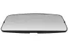 Скло дзеркала зовнішнього Лів/Прав (465 x190мм, обігрів) RVI MAGNUM 09.90 PACOL (RVIMR007) зображення 1
