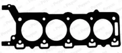 Прокладка ГБЦ Лев (толщина: 0,55мм) JAGUAR S-TYPE II, XJ, XK 8 LAND ROVER RANGE ROVER III, RANGE ROVER SPORT I 3.2/4.0/4.2 03.96-03.13 Payen AC5500
