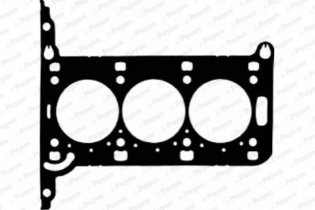Прокладка головки цилиндров Payen AE5950 (фото 1)