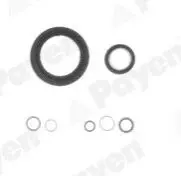 Фото 1 — Комплект ущільнень, картер Payen (EG7950) Фото Комплект ущільнень, картер Payen (EG7950) зображення 1