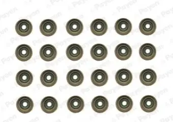 Фото 1 — Сальник клапана (впуск/випуск) BMW X5 (E70)/X6 (E71/E72) 07-14 (к-кт) M57/N57 Payen (HR5121) Фото Сальник клапана (впуск/випуск) BMW X5 (E70)/X6 (E71/E72) 07-14 (к-кт) M57/N57 Payen (HR5121) зображення 1