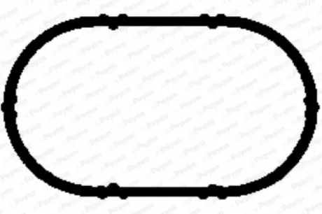 Прокладка впускного колектора DACIA DUSTER, LOGAN, LOGAN II, LOGAN MCV, SANDERO LADA LARGUS NISSAN PRIMASTAR OPEL VIVARO A RENAULT CLIO II, CLIO III, DUSTER, ESPACE III 1.4-2.0 09.95 Payen JD5893