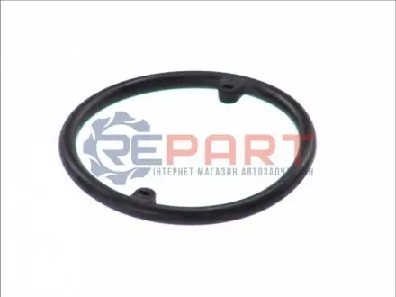 Ущільнення масляного радіатора VOLVO V70 I AUDI 100 C4, 80 B2, 80 B3, 80 B4, 90 B3, A2, A3, A4 B5, A4 B6, A4 B7, A6 C4, A6 C5, A8 D2, CABRIOLET B3, COUPE B3, TT FORD GALAXY I 1.4-2.9 08.80-12.13 Payen KK5686 Купити в Україні