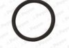 Уплотняющее кольцо маслосливной пробки OPEL/CHEVROLET 18*22*2 резина (выр-во Payen) LA5120