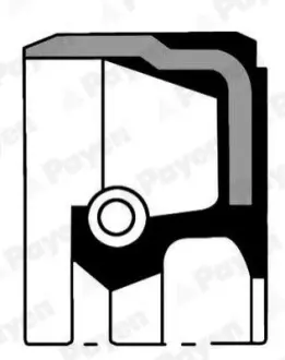 Фото Сальник колінвалу (задній) Fiat Doblo 1.2 00- (74x88x8) Payen (NA5061) зображення 1