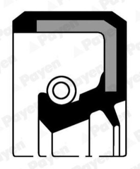 Уплотнительное кольцо, коленчатый вал RENAULT 1,2 D7D/D7F 32*44*6 FPM (выр-во) Payen NA5322 (фото 1)