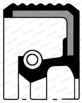 Сальник PSA 61X75X8 / ASW RD PTFE/ACM Payen NA5363