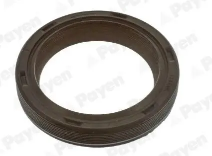 Фото Сальник колінвала (передній) VW Caddy IV 1.0-1.6 TSI 15-(30x40x7) Payen (NA5499) зображення 1