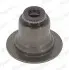 Сальник клапана (впуск/випуск) Ford Kuga 13- (5x9.5/22.6x17) замінено на 49486117 PA6117