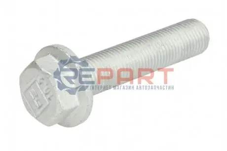 Шестигранні болти PE AUTOMOTIVE 01016900