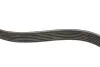 Фото Комплект ременя генератора Citroen Berlingo/Peugeot Partner 1.6 HDi 08- (6PK975) Peugeot/Citroen (1611277880) зображення 3
