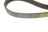 Фото Комплект ременя генератора Citroen Berlingo/Peugeot Partner 1.6 HDi 08- (6PK975) Peugeot/Citroen (1611277880) зображення 4