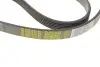 Фото Комплект ременя генератора Citroen Berlingo/Peugeot Partner 1.6 HDi 08- (6PK975) Peugeot/Citroen (1611277880) зображення 5