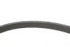Фото Zestaw pasków wielorowkowych z napinaczem pasuje do: DS DS 4, DS 5, DS 7 CITROEN C4 GRAND PICASSO II, C4 II, C4 PICASSO II, C4 SPACETOURER, C5 AIRCROSS, C5 III, DS4, DS5 2.0D 04.09 Peugeot/Citroen (1687977080) зображення 9