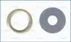 Двойная шайба рейки Common Rail (комплект кольцо шайба (EN) pressure rail/sensor) VOLVO C30, S40 II, V50 CITROEN BERLINGO, BERLINGO MULTISPACE, C1, C2, C3 I, C3 II 1.4D/1.6D 09.01- Peugeot/Citroen (1920TG) изображение 1