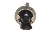 Фото Амортизатор передн Лів CITROEN C5 III 1.6-3.0D 02.08-05.17 Peugeot/Citroen (5271.L5) зображення 9