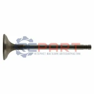 Кришка бачка омивача CITROEN JUMPER II PEUGEOT BOXER 12.01-06.06 Peugeot/Citroen 643236 Купити в Україні