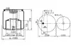Пневмоподушка PHOENIX (1DF19B1) зображення 1