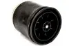 Пневмоподушка PHOENIX (1DK23L913150961) зображення 3