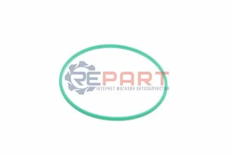 Уплотнительное кольцо PIERBURG 332038010 Купить в Украине