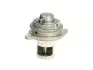 Клапан EGR MERCEDES A (W169), B SPORTS TOURER (W245) SMART FORTWO 0.8D/2.0D 09.04 PIERBURG (700306370) зображення 1