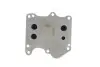Фото Радіатор масляний Citroen Jumper/Fiat Ducato/Peugeot Boxer 2.2HDi 06- (теплообмінник) PIERBURG (7.09269.51.0) зображення 2