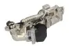 Клапан EGR (модуль з радіатором) BMW 1 (E81), 1 (E82), 1 (E87), 1 (E88), 1 (F20), 1 (F21), 2 (F22, F87), 3 (E90), 3 (E91), 3 (E92), 3 (E93), 3 (F30, F80), 3 (F31) 1.6D/2.0D/3.0D 12.04 PIERBURG 710993000 Купити в Україні