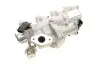 Фото Впускний колектор (з клапаном EGR) FORD GALAXY II, S-MAX, TOURNEO CONNECT, TRANSIT CONNECT 1.8D 06.02-06.15 PIERBURG (724809720) зображення 7