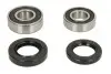 Комплект підшипника колеса задн (з ущільненнями) HONDA CR 80/85 1996-2007 PIVOT WORKS (PWRWKH18008) зображення 1