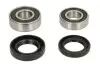 Комплект підшипника колеса задн (з ущільненнями) HONDA CR 80/85 1996-2007 PIVOT WORKS (PWRWKH18008) зображення 2