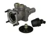 Головний гальмівний клапан PNEUMATICS (PN10116) зображення 1