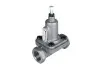Клапан перепускний PNEUMATICS (PN10647) зображення 1