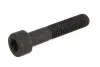 Фото Направляючий болт супорта VW GOLF II, JETTA II, PASSAT B3/B4, POLO, POLO CLASSIC, POLO II 1.0-1.8 10.81-09.94 QUICK BRAKE (11501) зображення 1
