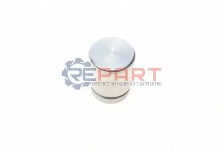 Поршень гальмівного супорта задн (38мм 50мм) QUICK BRAKE 185127 Купити в Україні