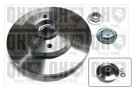 Диск гальмівний (задній) Citroen C3/C4 /Peugeot 207/307 05- (249х9) (+ABS) (з підшипником) QUINTON HAZELL BDC5771 Купити в Україні