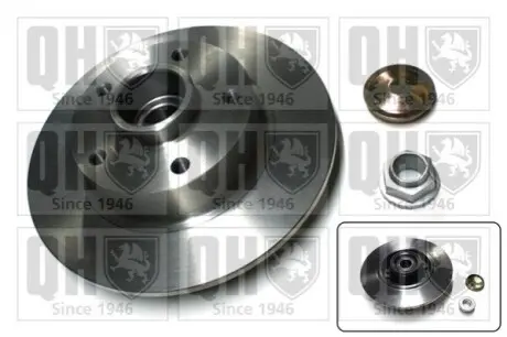 Диск гальмівний (задній) Renault Megane III/Scenic III 08- (260x8)(з підшипником)(+ABS) QUINTON HAZELL BDC5841 Купити в Україні