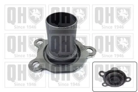 Сальник вала первинного КПП VW Caddy III 1.6-2.0TDI 04-10 (21.8x47x49.1) (лійка) QUINTON HAZELL CCT29K Купити в Україні