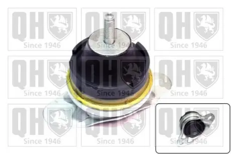 Подушка двигуна QUINTON HAZELL EM4219 Купити в Україні