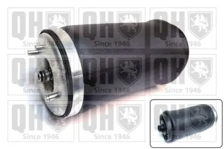 Подушка пневмопідвіски (ззаду) BMW X5 00-06 (R) (B3) QUINTON HAZELL EMR4801 Купити в Україні