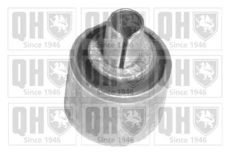 Фото Сайлентблок QUINTON HAZELL (EMS8105) зображення 1