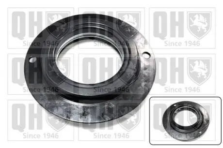 Фото Пiдшипник опорний QUINTON HAZELL (QAM182) зображення 1