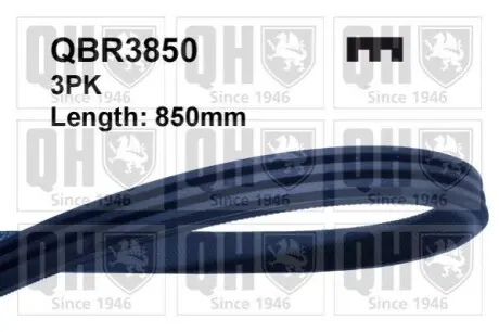 Ремінь генератора Smart 0.6/0.7i/0.8cdi QUINTON HAZELL QBR3850 Купити в Україні