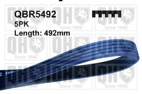 Ремінь генератора VW Golf V/Passat/Touran 1.4TSI 05 QUINTON HAZELL QBR5492 Купити в Україні